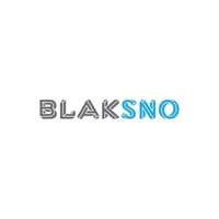 BlakSno - Branding & Identity Design, Digital Strategy agency serving clients in Chennai and across India