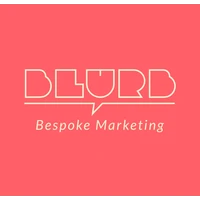 Blurb - Social Media Marketing & Management, Performance Marketing agency serving clients in Parra and across India