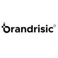 Brandrisic Media Pvt Ltd - Branding & Identity Design, Market Research & Analysis agency serving clients in Kolhapur and across India