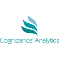Congnizance Analytics - Digital Strategy, Analytics agency serving clients in Hyderabad and across India