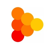 Digital Bunch - Digital Strategy, SEO agency serving clients in Lucknow and across India