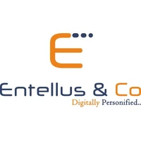 Entellus & Co - Search Engine Optimization (SEO), PPC Campaigns agency serving clients in Bengaluru and across India