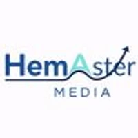 HemAster Media - Marketplace Store Management, Performance Marketing agency serving clients in Indore and across India