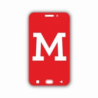 Mobfountain Media - Social Media Marketing & Management, Performance Marketing agency serving clients in Noida and across India