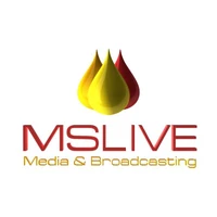 Mslive Technologies - Google Ads & Marketing, YouTube Ads & Marketing agency serving clients in Chennai and across India