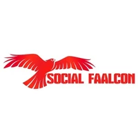 Social Faalcon - Digital Strategy, SEO agency serving clients in Mumbai and across India
