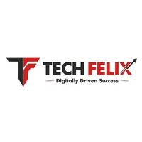 Tech Felix - Search Engine Optimization (SEO), Google Ads & Marketing agency serving clients in Mohali and across India
