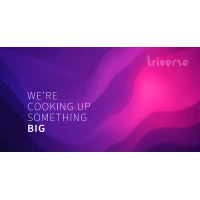 Triverse Advertising Pvt. Ltd. - Branding & Identity Design, Graphic Design agency serving clients in Gurugram and across India
