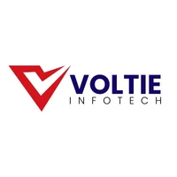 Voltie Infotech - Digital Strategy agency serving clients in Noida and across India