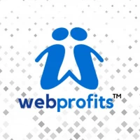 WebProfits - India's best Web Design and Digital Marketing Agency - Search Engine Optimization (SEO), Web Design & Development agency serving clients in New Delhi and across India