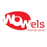 Wowels | Online Advertising Agency - Digital Strategy, Branding & Identity Design agency serving clients in Thiruvananthapuram and across India